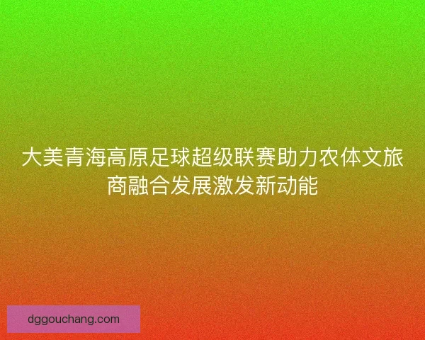 大美青海高原足球超级联赛助力农体文旅商融合发展激发新动能